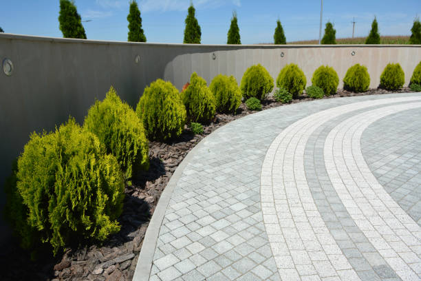 Best Brick Driveway Pavers  in Idaho Springs, CO